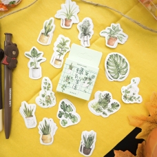 Набір наліпок Сукуленти (45 шт) Набір наліпок Сукуленти (45 шт)